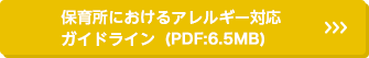 保育所におけるアレルギー対応ガイドライン（PDF）